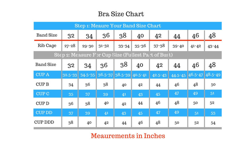 Blanca Women's Seamless Sports Bra Light Weight (6Pack) BRO136SP3