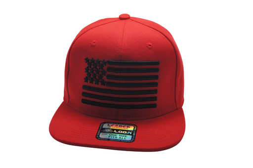 Flat Bill USA 3D Embroidery Red